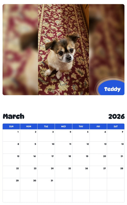 November 2025 - October 2026 Teddy - Pawidols Pet Calendar