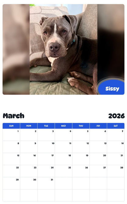 November 2025 - October 2026 Sissy - Pawidols Pet Calendar