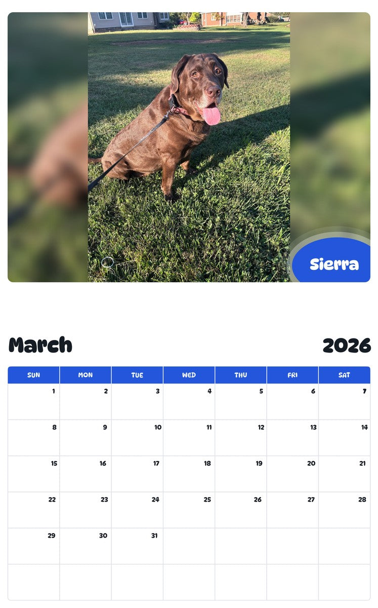 November 2025 - October 2026 Sierra - Pawidols Pet Calendar