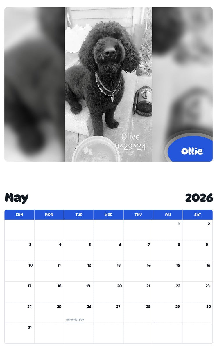 2026 - 2027 Ollie - Pawidols Pet Calendar