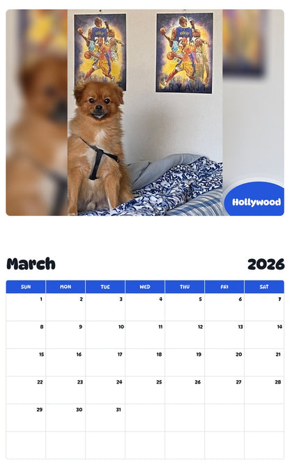 November 2025 - October 2026 Hollywood - Pawidols Pet Calendar