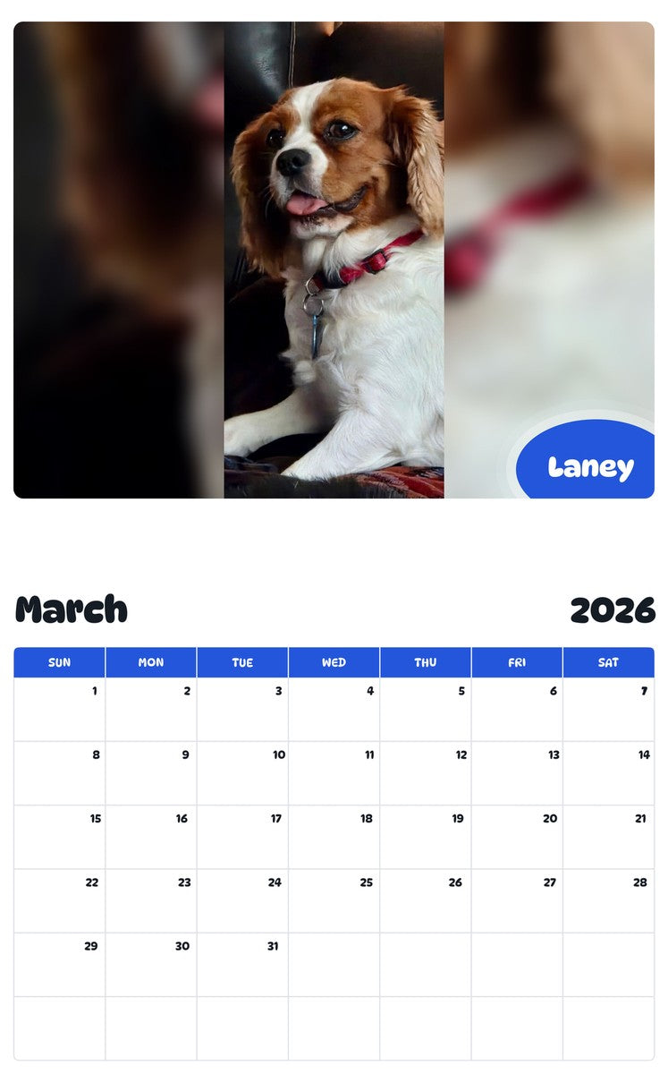 November 2025 - October 2026 Laney - Pawidols Pet Calendar