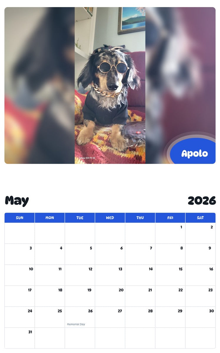 2026 - 2027 Apolo - Pawidols Pet Calendar