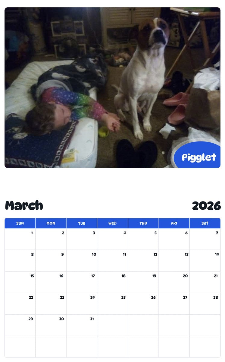 November 2025 - October 2026 Pigglet - Pawidols Pet Calendar