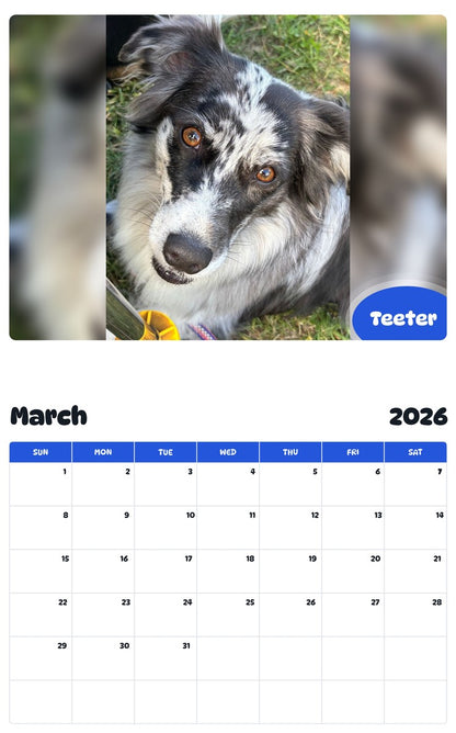 November 2025 - October 2026 Teeter - Pawidols Pet Calendar