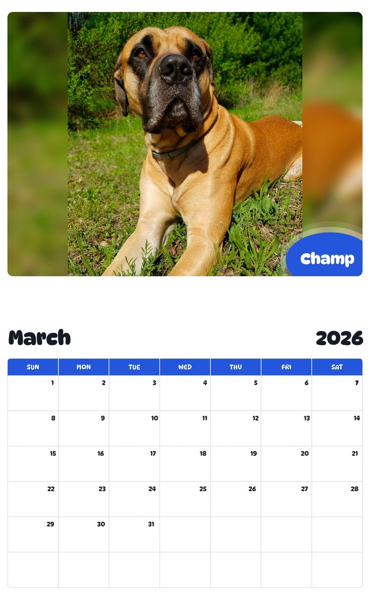 November 2025 - October 2026 Champ - Pawidols Pet Calendar