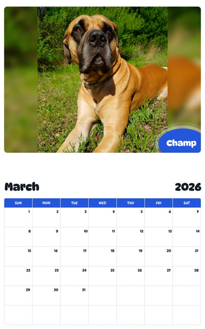 November 2025 - October 2026 Champ - Pawidols Pet Calendar