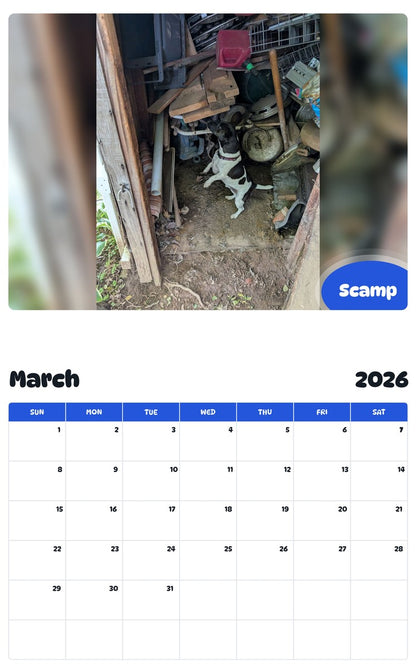 November 2025 - October 2026 Scamp - Pawidols Pet Calendar