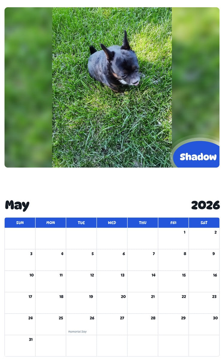 2026 - 2027 Shadow - Pawidols Pet Calendar
