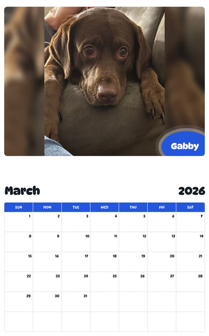 November 2025 - October 2026 Gabby - Pawidols Pet Calendar