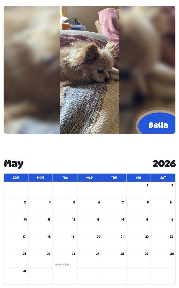 2026 - 2027 Bella - Pawidols Pet Calendar