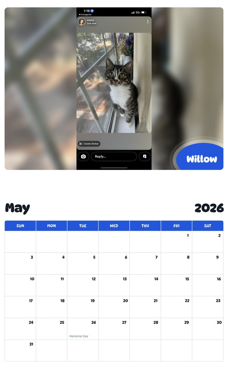 2026 - 2027 Willow - Pawidols Pet Calendar