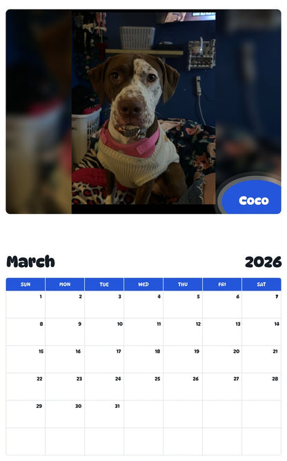 November 2025 - October 2026 Coco - Pawidols Pet Calendar