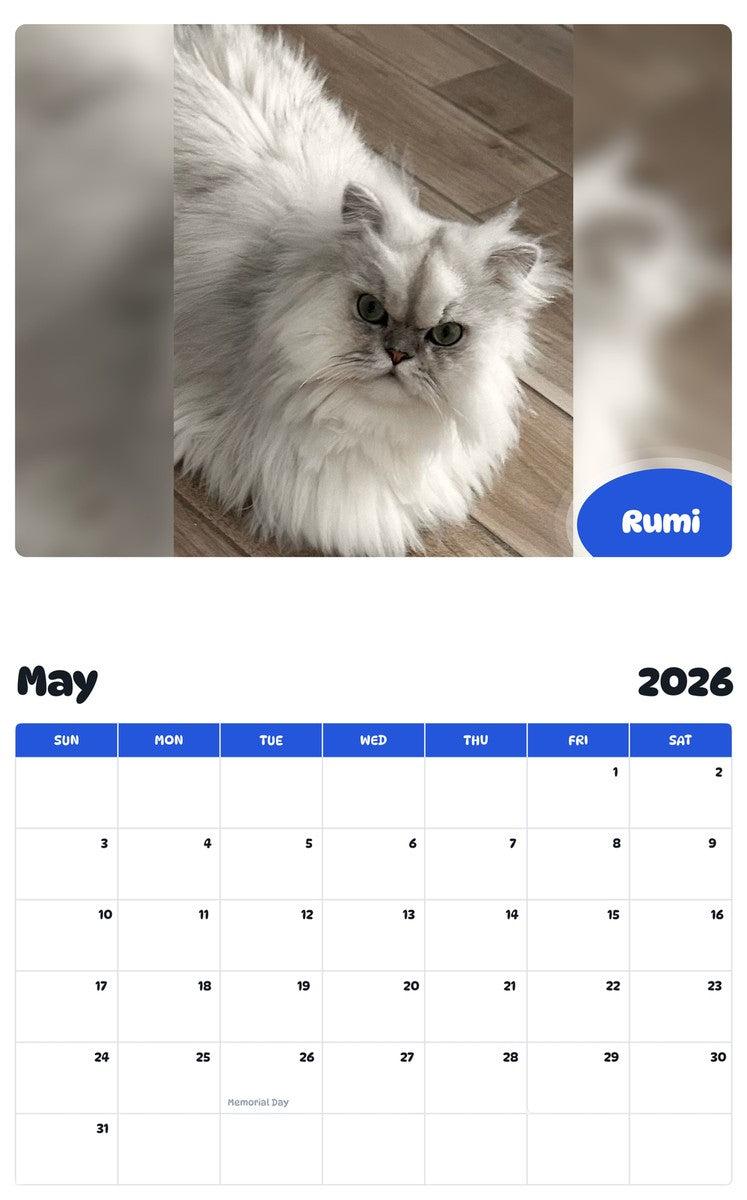 2026 - 2027 Rumi - Pawidols Pet Calendar