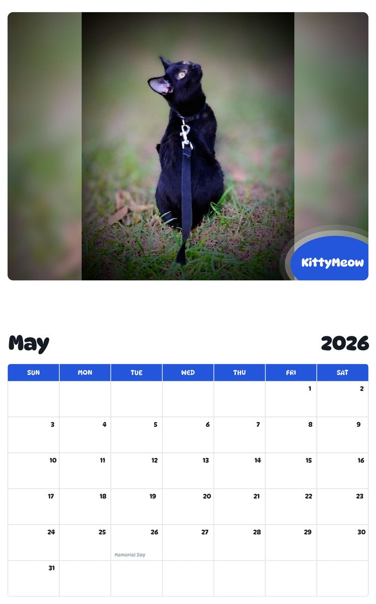 2026 - 2027 KittyMeow - Pawidols Pet Calendar