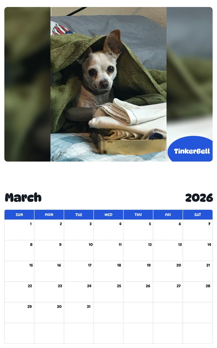 November 2025 - October 2026 TinkerBell - Pawidols Pet Calendar