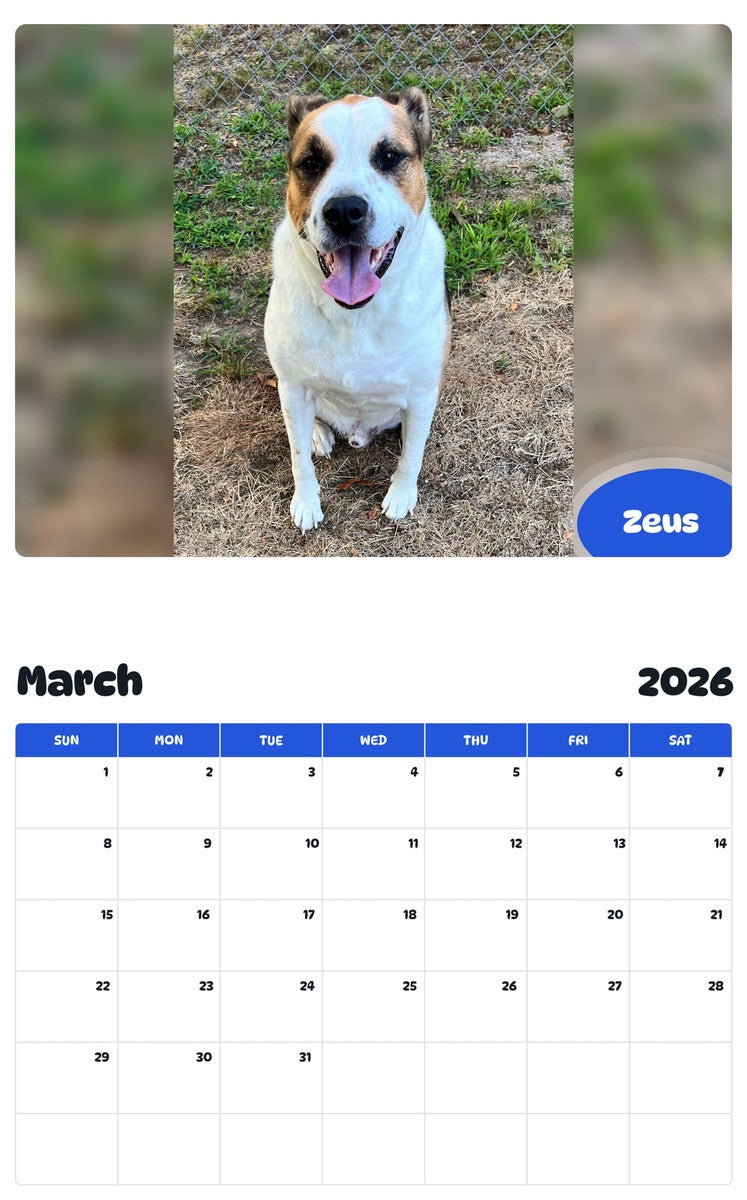 November 2025 - October 2026 Zeus - Pawidols Pet Calendar