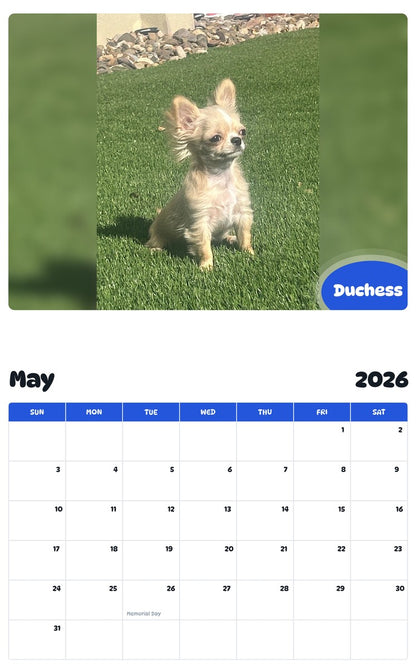 2026 - 2027 Duchess - Pawidols Pet Calendar