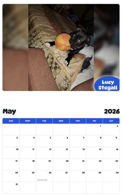 2026 - 2027 Lucy Stegall - Pawidols Pet Calendar