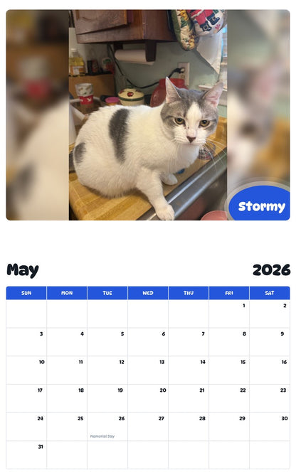 2026 - 2027 Stormy - Pawidols Pet Calendar