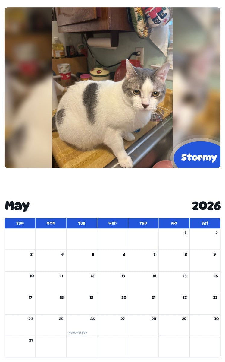 2026 - 2027 Stormy - Pawidols Pet Calendar