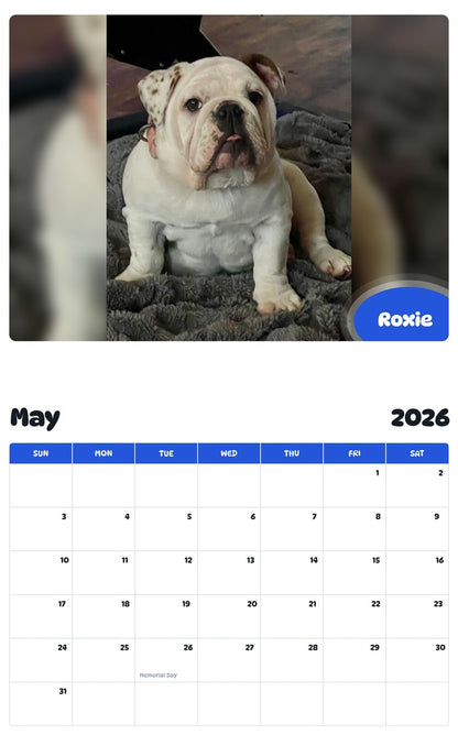 2026 - 2027 Roxie - Pawidols Pet Calendar