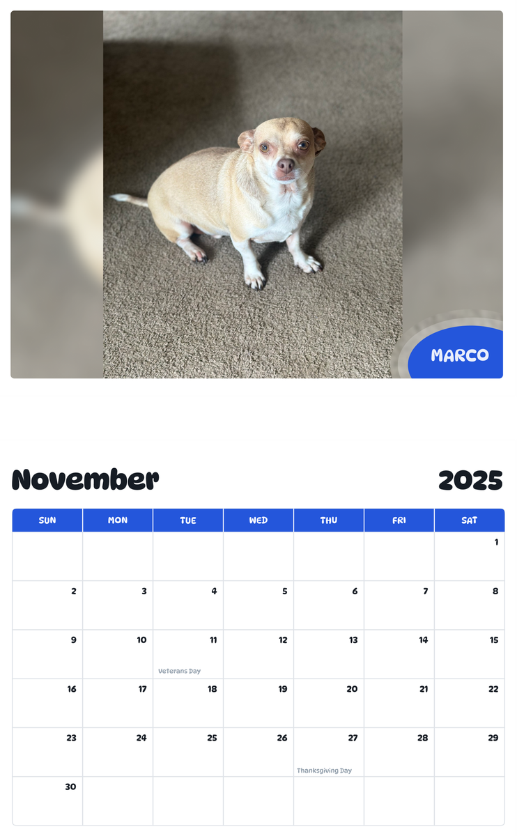 July 2025 - June 2026 Marco - Pawidols Pet Calendar