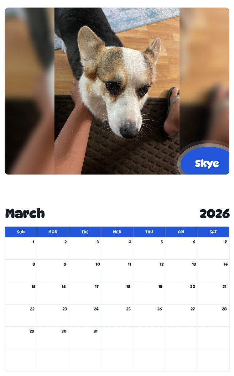 November 2025 - October 2026 Skye - Pawidols Pet Calendar