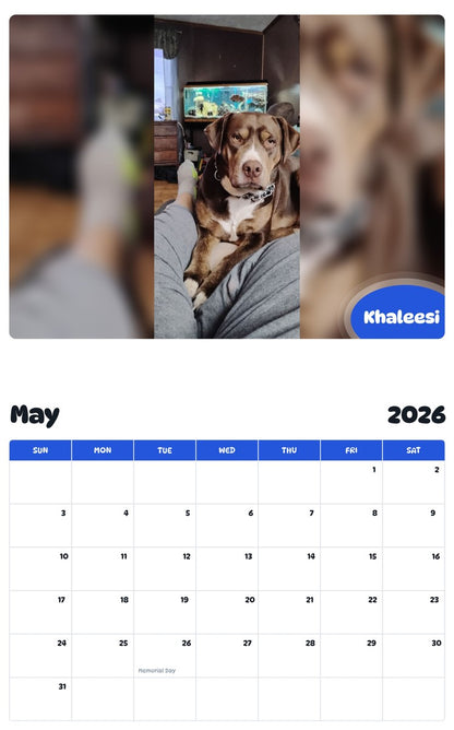 2026 - 2027 Khaleesi - Pawidols Pet Calendar