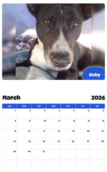 November 2025 - October 2026 Roby - Pawidols Pet Calendar