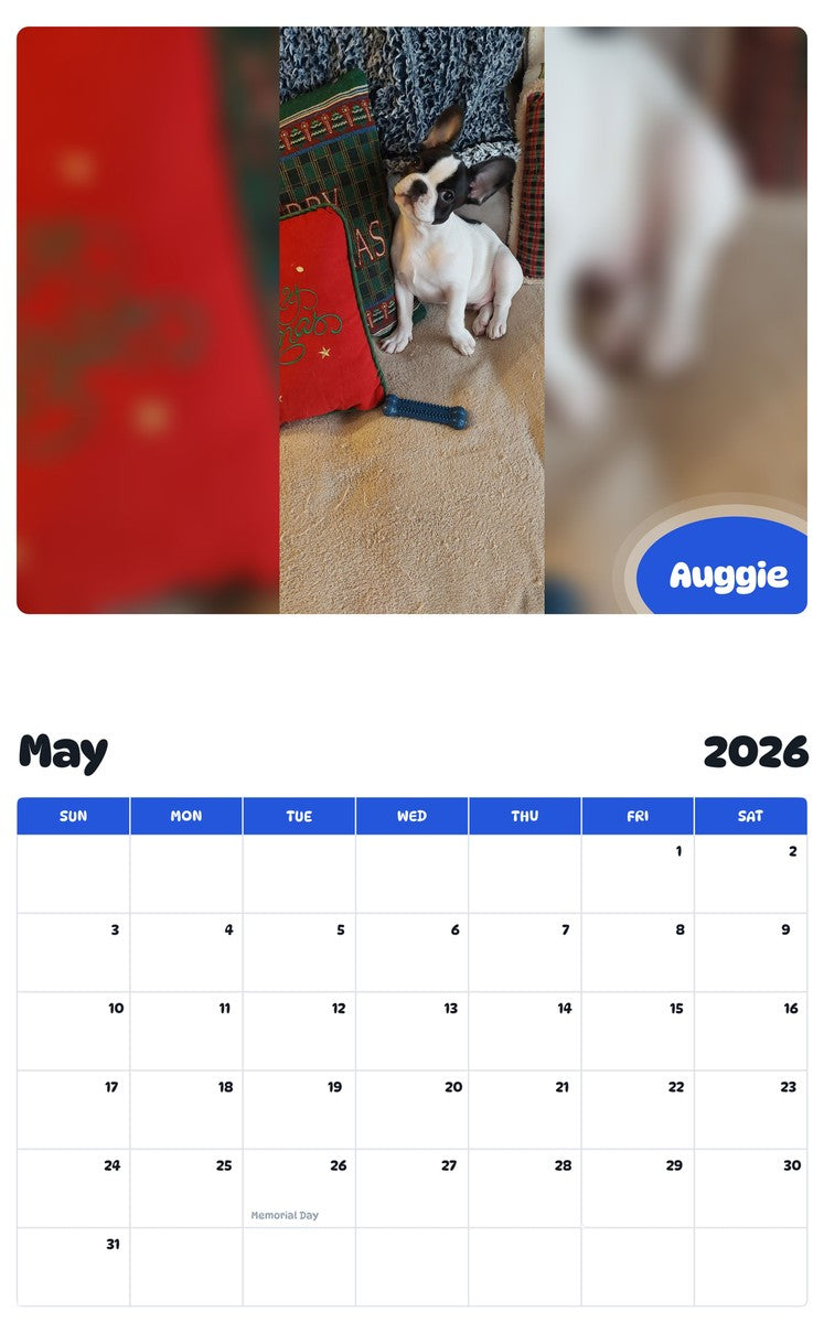 2026 - 2027 Auggie - Pawidols Pet Calendar
