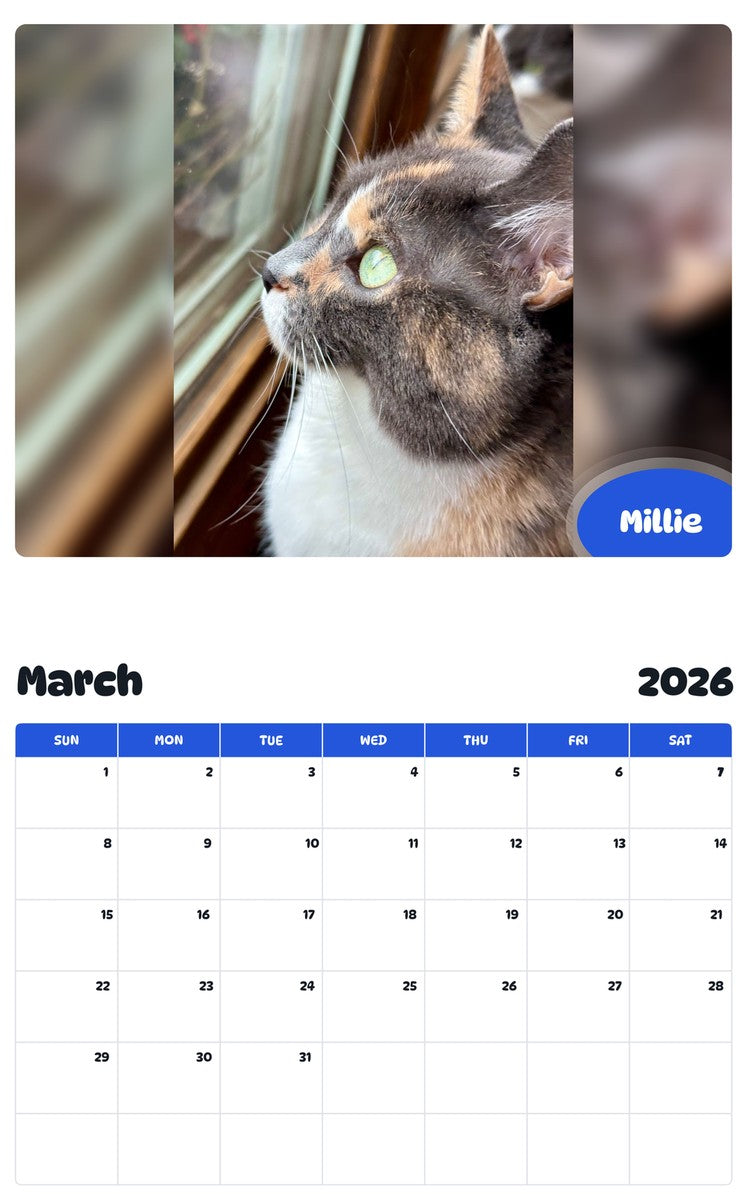 November 2025 - October 2026 Millie - Pawidols Pet Calendar