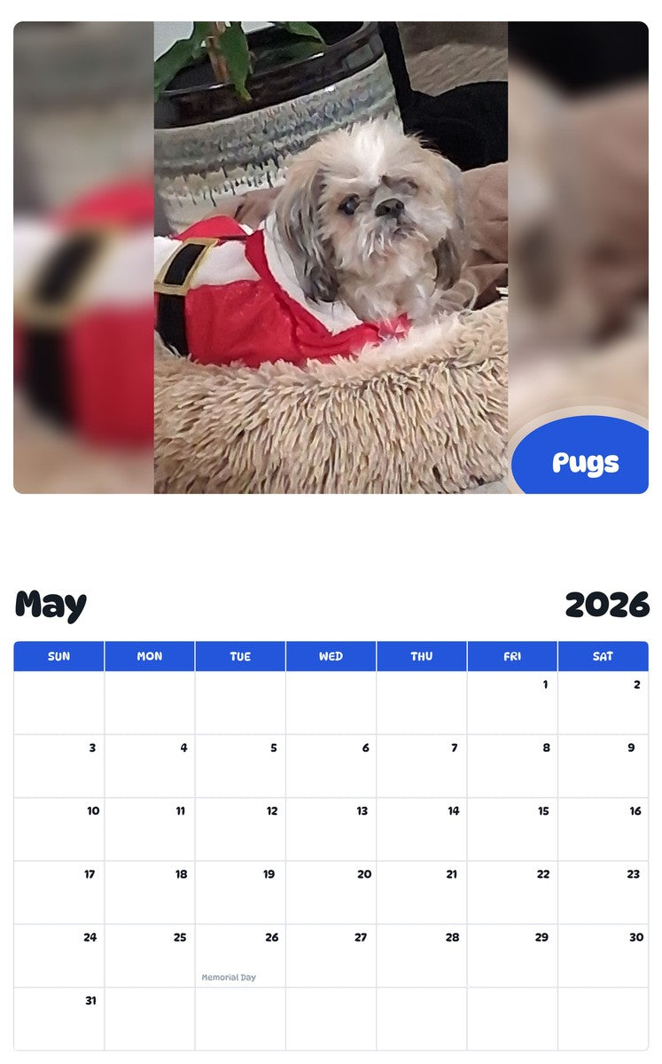 2026 - 2027 Pugs - Pawidols Pet Calendar