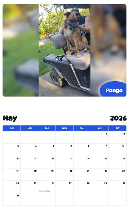 2026 - 2027 Pongo - Pawidols Pet Calendar