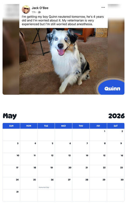 2026 - 2027 Quinn - Pawidols Pet Calendar