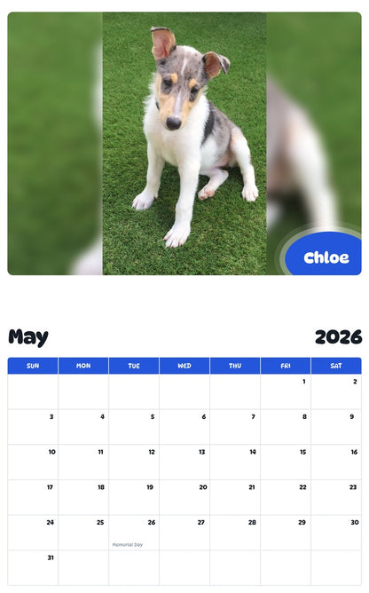 2026 - 2027 Chloe - Pawidols Pet Calendar
