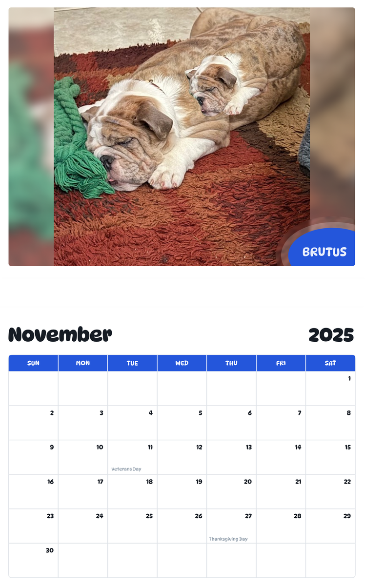 July 2025 - June 2026 Brutus - Pawidols Pet Calendar