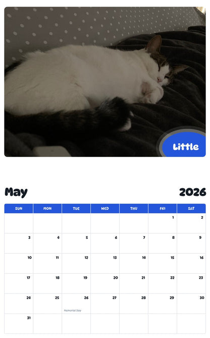 2026 - 2027 Little - Pawidols Pet Calendar