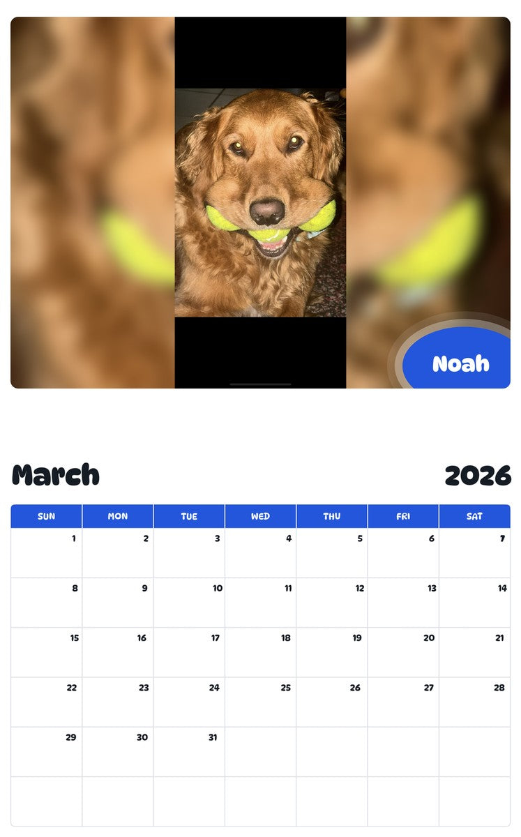 November 2025 - October 2026 Noah - Pawidols Pet Calendar