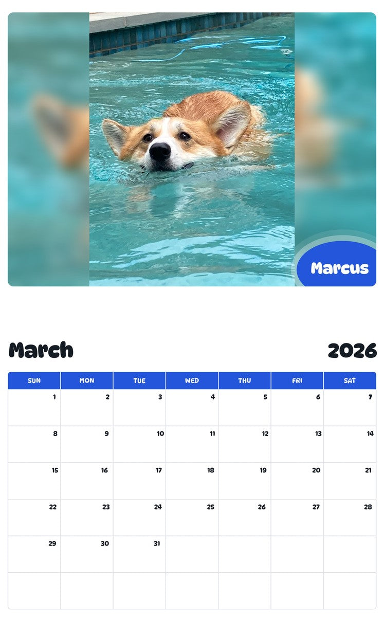 November 2025 - October 2026 Marcus - Pawidols Pet Calendar
