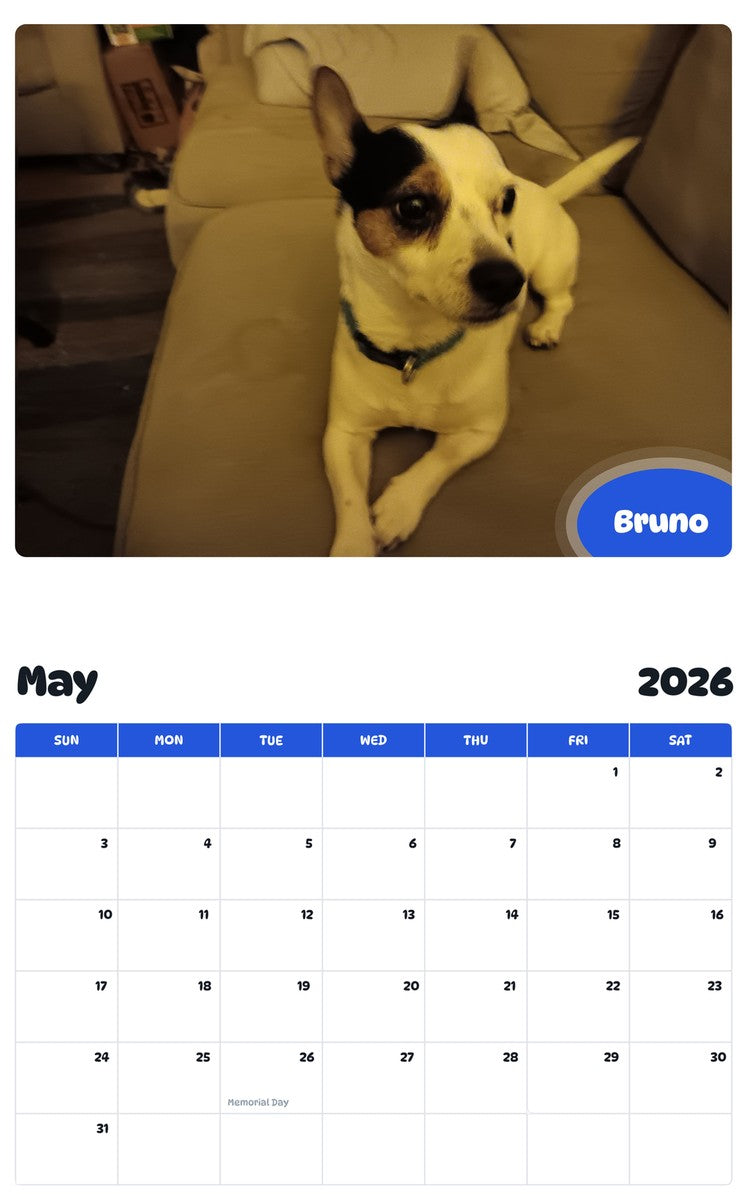 2026 - 2027 Bruno - Pawidols Pet Calendar