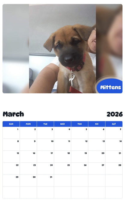 November 2025 - October 2026 Mittens - Pawidols Pet Calendar