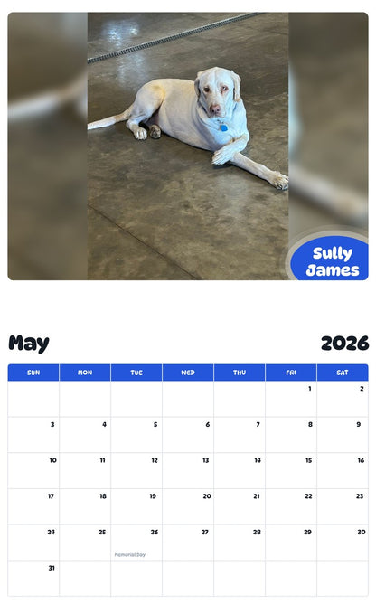 2026 - 2027 Sully James - Pawidols Pet Calendar