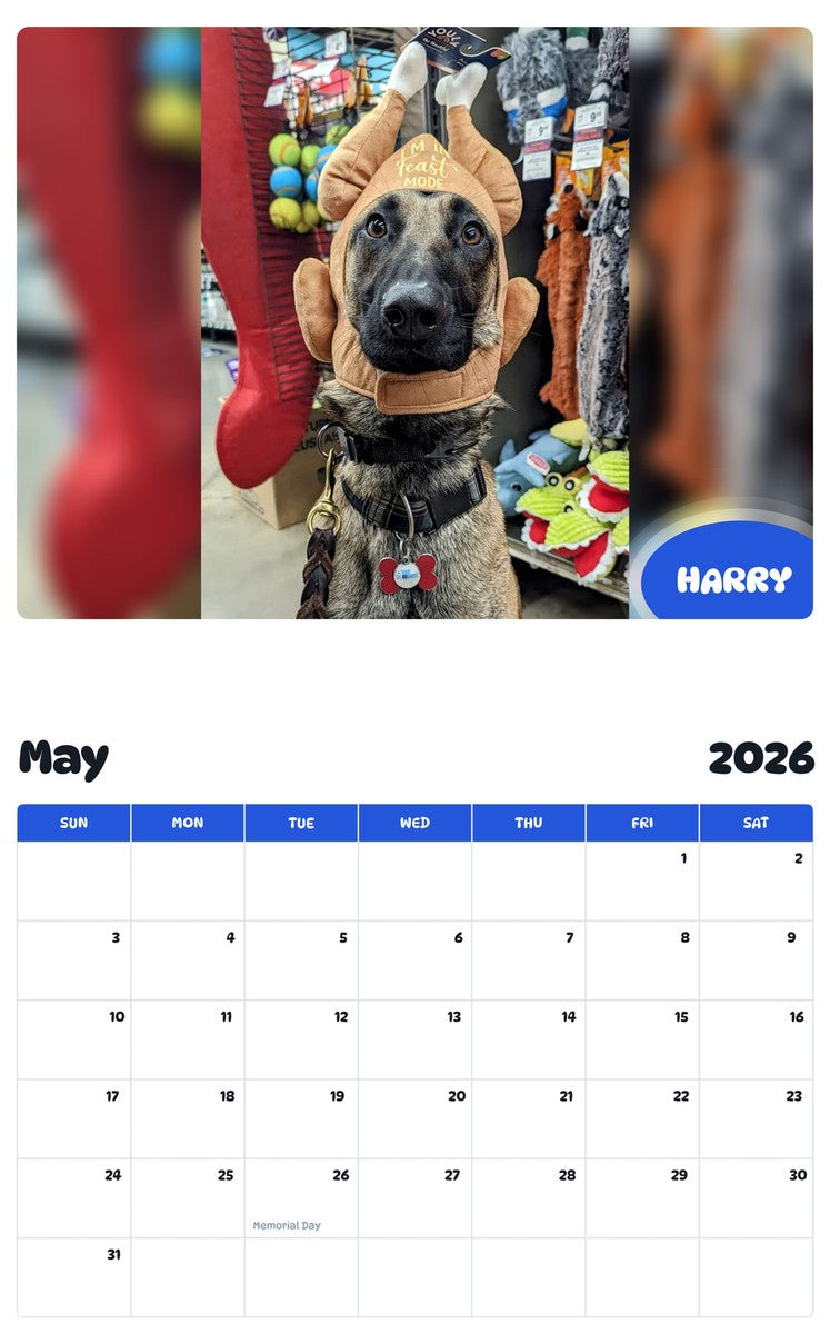 2026 - 2027 HARRY - Pawidols Pet Calendar