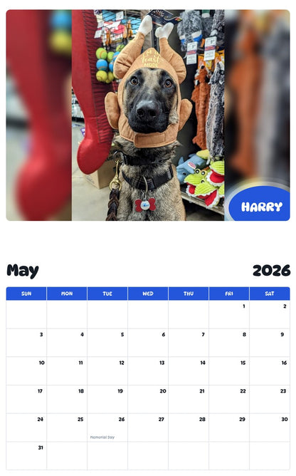 2026 - 2027 HARRY - Pawidols Pet Calendar