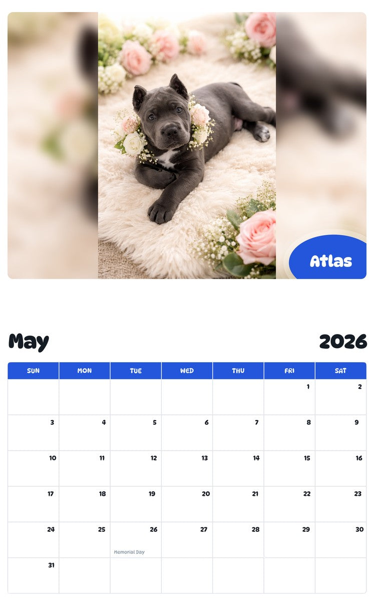 2026 - 2027 Atlas - Pawidols Pet Calendar