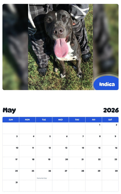 2026 - 2027 Indica - Pawidols Pet Calendar