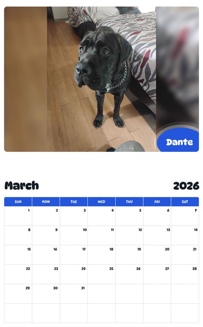 November 2025 - October 2026 Dante - Pawidols Pet Calendar