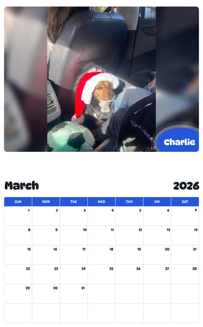 November 2025 - October 2026 Charlie - Pawidols Pet Calendar