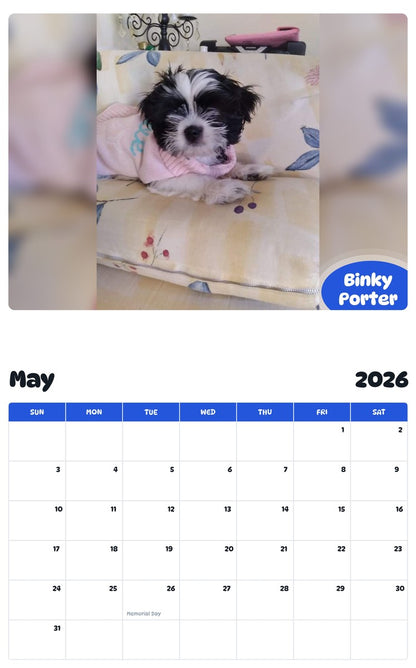 2026 - 2027 Binky Porter - Pawidols Pet Calendar